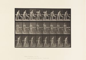 Talíř 380. Tesař, Pilař, 1872-1885 od Eadweard Muybridge