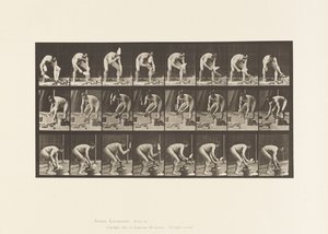Talíř 381. Zedník, Kladení cihel od Eadweard Muybridge