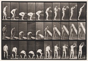 Talíř 382. Lifting A Log on End, 1872-1885 od Eadweard Muybridge
