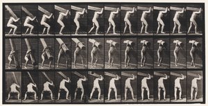 Talíř 383. Zvedání kmene na rameni od Eadweard Muybridge