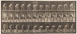 Talíř 388. Sedlák, rýčem, 1872-1885 od Eadweard Muybridge