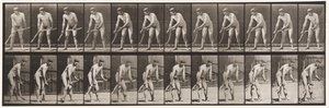 Talíř 391. Sedlák, Sečení trávy od Eadweard Muybridge