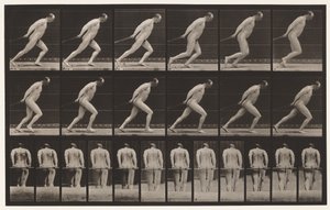 Talíř 392. Tažení zahradního válečku, 1872-1885 od Eadweard Muybridge