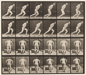 Talíř 393. Tlačení zahradního válečku, 1872-1885 od Eadweard Muybridge