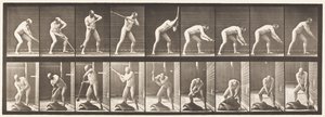 Talíř 396. Bušení paličkou od Eadweard Muybridge