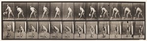 Talíř 398. Vyprázdnění vědra s vodou, 1872-1885 od Eadweard Muybridge