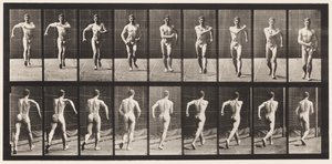 Talíř 3. Chůze od Eadweard Muybridge