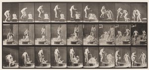 Deska 408. Dva modely od Eadweard Muybridge