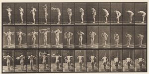 Talíř 414. Vytírání těla ručníkem od Eadweard Muybridge