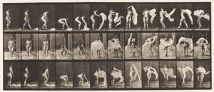 Talíř 419. Záchod, shrbený, přehození kolem ramen od Eadweard Muybridge