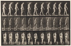 Talíř 42. Chůze, nalévání vody z džbánu od Eadweard Muybridge