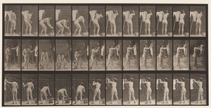 Talíř 434. Věšení šatů na lince, 1872-1885 od Eadweard Muybridge