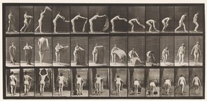 Talíř 439. Rozložení koberce na podlahu, 1872-1885 od Eadweard Muybridge