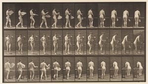 Talíř 441. Nosit vázu a pokládat ji na stůl, 1872-1885 od Eadweard Muybridge