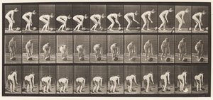 Talíř 442. Shýbání se a válení kamene na zemi od Eadweard Muybridge