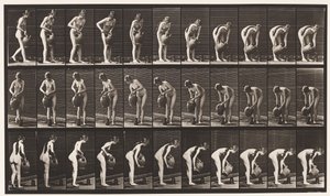 Talíř 446. Plnicí džbán na zemi z nádoby na vodu od Eadweard Muybridge