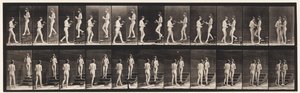Talíř 448. Dva modely od Eadweard Muybridge