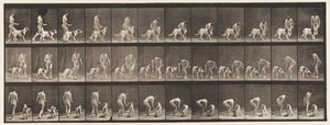 Talíř 449. Krmení psa od Eadweard Muybridge