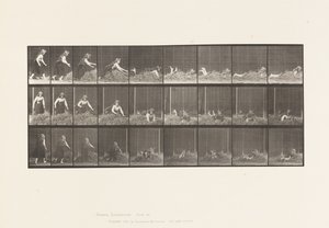 Plate 455. Házení sebe sama na hromadu sena od Eadweard Muybridge