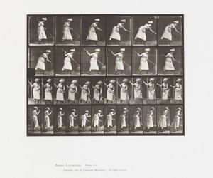 Talíř 456. Hrabat seno, 1885 od Eadweard Muybridge
