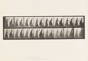 Talíř 464. Dva modely, 16 Chasing 4 s koštětem, 1885 od Eadweard Muybridge