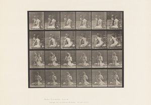 Talíř 466. Dva modely, Child 70N, Bringing Bouquet to 12, 1885 od Eadweard Muybridge