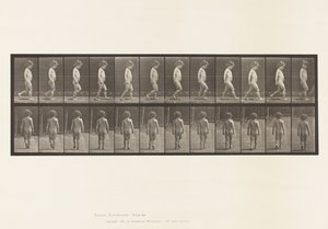 Talíř 467.Dítě, Chodící, 1885 od Eadweard Muybridge