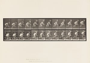 Talíř 472. Dítě, plazí se nahoru, 1885 (kolotypie na papíře) od Eadweard Muybridge
