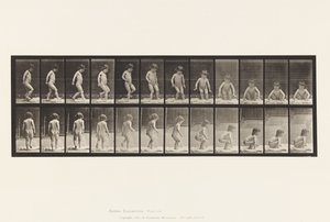 Talíř 476. Dítě, sedí na zemi od Eadweard Muybridge