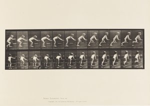 Talíř 480. Dítě, chůze a plazení po schodech od Eadweard Muybridge