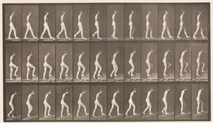 Talíř 482. A, Chůze; B, Vzestupné schody; C, Ascending Incline, 1872-1885 od Eadweard Muybridge
