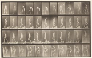 Talíř 486. A, Tenis na trávníku; B, Ascending a Step;, 1872-1885 od Eadweard Muybridge