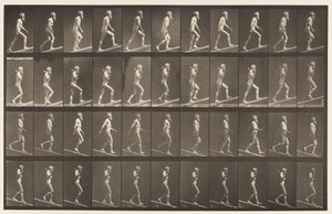Deska 489. A, Ascending Incline;, 1872-1885 od Eadweard Muybridge