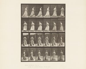 Talíř 48. Chůze a otáčení kytice v obou rukou, 1885 od Eadweard Muybridge