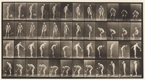 Talíř 490. A, Vsedě; B, vsedě; C, Kropení vodou od Eadweard Muybridge