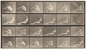 Talíř 492. A od Eadweard Muybridge