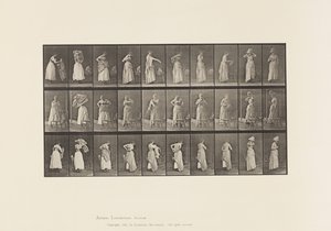 Talíř 495. Různé fáze toalety od Eadweard Muybridge