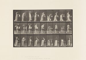 Talíř 496.Různé fáze záchoda, 1885 od Eadweard Muybridge