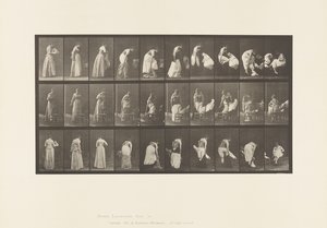 Talíř 497.Různé fáze záchodu, 1885 od Eadweard Muybridge