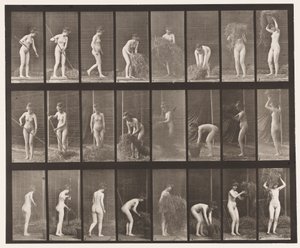 Talíř 499. Shrabování a balení sena, 1872-1885 od Eadweard Muybridge