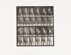 Talíř 49. Rychlá chůze a otáčení od Eadweard Muybridge