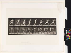 Talíř 4. Chůze od Eadweard Muybridge