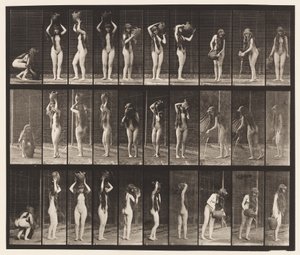 Talíř 500. Různé pohyby s nádobou na vodu od Eadweard Muybridge