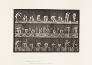 Talíř 505. Zednictví od Eadweard Muybridge