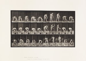 Talíř 506. Zednictví od Eadweard Muybridge