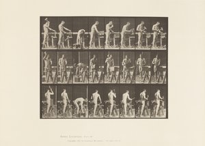 Talíř 507. Tesařství od Eadweard Muybridge