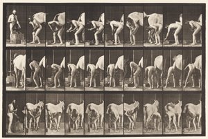 Talíř 508. Podkování koně od Eadweard Muybridge