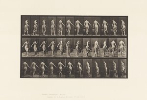 Talíř 50. Chůze, Nošení kbelíku od Eadweard Muybridge