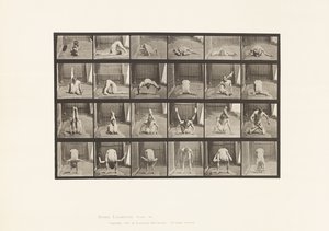 Talíř 511. Zkroucení na zemi od Eadweard Muybridge