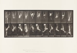 Talíř 512. Zkroucení na prstenech od Eadweard Muybridge